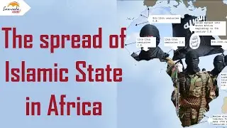 The spread of Islamic State in Africa