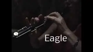 Eagle Recorder + Baroque Recorder...... difference