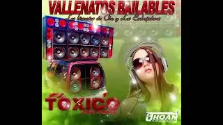 VALLENATOS BAILABLES MIX - LOS EMBAJADORES DEL VALLENATO Y BINOMIOS DE ORO | EL TÓXICO CAR AUDIO 