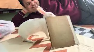 Leo ne kari hadd paar 😱kyu aaya itna gussa #viral #comedy #funny #vlog 