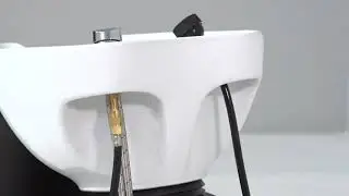 Aston Backwash Shampoo System