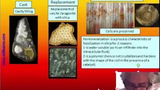 MICROCRYSTALLINE SILICA by Marco Campos-Venuti - CAP 12 - Classification of Jaspers
