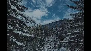. . . . . ╰──╮Mizzurna Falls ╭──╯ . . . . .  - ◢✥◣track 10◢✥◣ (slowed+reverb)