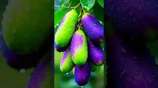 Beautiful colors and incredibly sweet fruit 😱🍎🍌🍓🫐🥝🍈🍉🍒 #shorts #nature #fruit