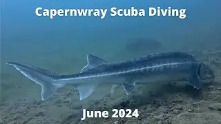 Dive Into Adventure At Capernwray Scuba Diving Centre With Marina Dive Club!