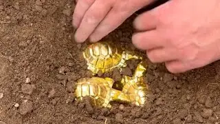 Gold 80 years old 😱