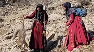 Iranian Nomads | Shepherdess Shows Off Expert Marksmanship in the Deep Wilderness 🔫🎯
