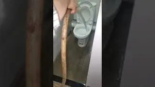 Choir cleaning the toilet of the church Nov 27 2025