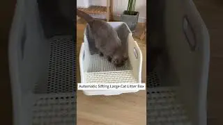 This Cat Litter Box Cleans Itself &ndash; Game Changer for Cat Owners!