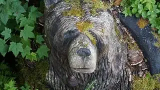 Alaska Vacation
