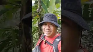 nikmati jalur viral pada masanya dan kini tak terjamah