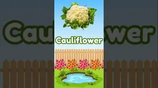 Learn Food Names for Kids | Cauliflower to Coconut | Fruits and Vegetables