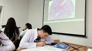 Дневник студента медика👩🏻‍⚕️. Заключительная неделя третьего семестра✨💗💞