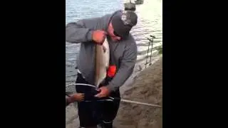 Anaheim Lake 10+ lb trout