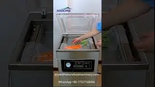 Single Chamber Vacuum Packing Machine