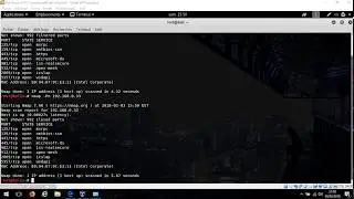 Scanning Firewall Windows with Kali Linux