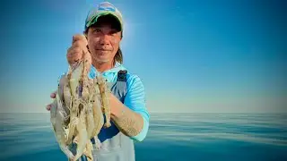 Shrimping in Charleston SC
