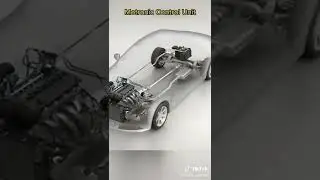 Hệ thống điều khiển động cơ (Engine Management System or Motronic System)