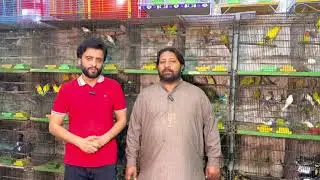 Birds Market Multan 27 October 2025  | Kamran Bhai | Birds Zone | Lahore | Karachi | Pakistan