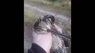 Late Season hunting