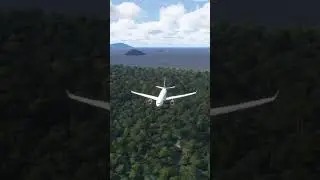 The world's most shocking aviation moments! #shorts - 040