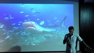 Debunking Shark Misconceptions | ANUP J KAT | TEDxBNMIT