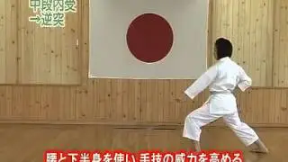 Uchi Uke Gyaku Zuki JKA