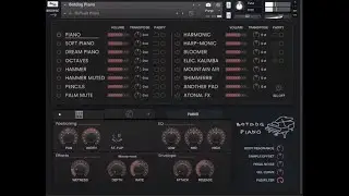 BotDog Piano No Talking