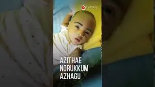 SHAYAN (14)