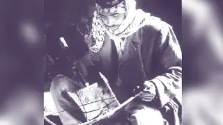 الشاعر حسن الهمشري ابو محمد