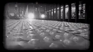 The Fuzzy Nerds  - 129 A.i.d.  (Official Video)
