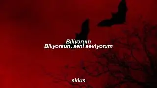 ONEUS - I KNOW YOU KNOW (Türkçe çeviri)