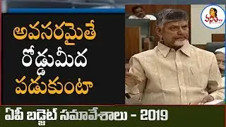 Chandrababu Speech on Praja Vedika Demolition | AP Assembly budget Sessions 2019 | Vanitha TV
