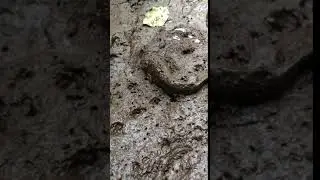 The Drying Up of Our Streams part 2