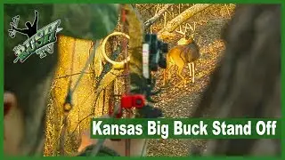 Big Buck bowhunting Standoff Success Kansas, Deer Hunting