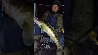 Ночной судачок под тр&euml;шку🎣  на commander Shad