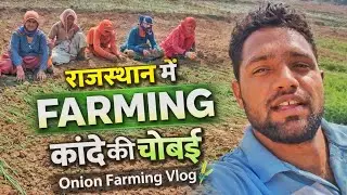 कांदे की चोबई कैसे होती है? | Rajasthan Onion Farming Vlog / Mr vikash marwadi  / @MRVIKASHMARWADI 