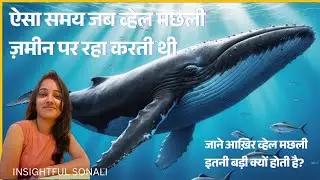 A period in history when whales lived on land. Why Whales are so large in size