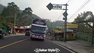 #sekarstyle #busmania #bislover #bismaniacomunity #basuri #cortas