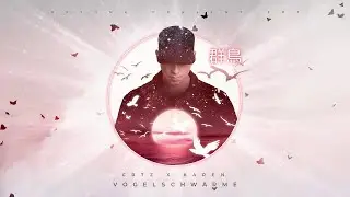 Cr7z feat. Karen - Vogelschwärme (prod. Smoove) | Visualizer