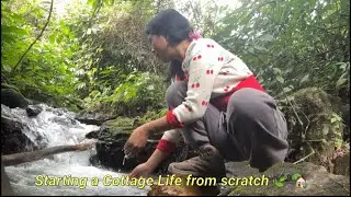 Starting my aesthetic Cottage life in Arunachal, Northeast India🇮🇳(farm tour, firewoods & farming)