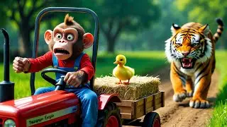 Monkey's Tractor Rescue! 🚜 Lost Duckling in Peril! 🐅 Will They Escape the Forest Tiger? 🥺