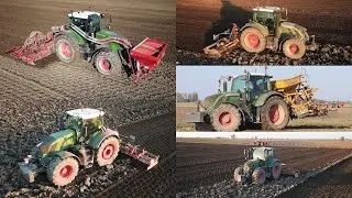 5x Fendt | 828 728 720 718 516 | Erpicatura e Semina grano | Harrowing and Sowing wheat