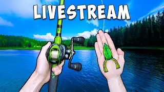 $25 Walmart Budget Fishing Challenge (LIVESTREAM)