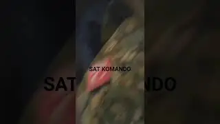 SAT KOMANDO 