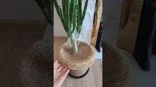 My cat is digging in the flower pot, so I came up with a way to protect it #crochet #diy #handmade