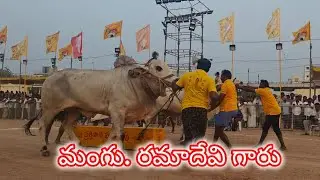 చిలకలూరిపేట న్యూ కేటగిరి 1వ మంగు. రమాదేవి గారు ఇర్లపాడు గ్రామం పల్నాడు జిల్లా..
