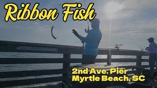 Ribbon Fish 갈치(풀치)를 미국에서 [2nd Ave Pier, Myrtle Beach, SC]