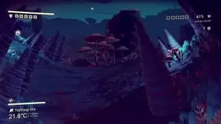 NMS Feeding a pet.