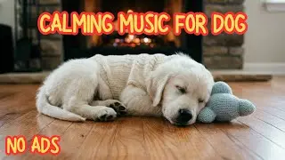 12 Hours Gentle Sleep Music for Dogs 🐶 Calm Anxiety Naturally | No Ads